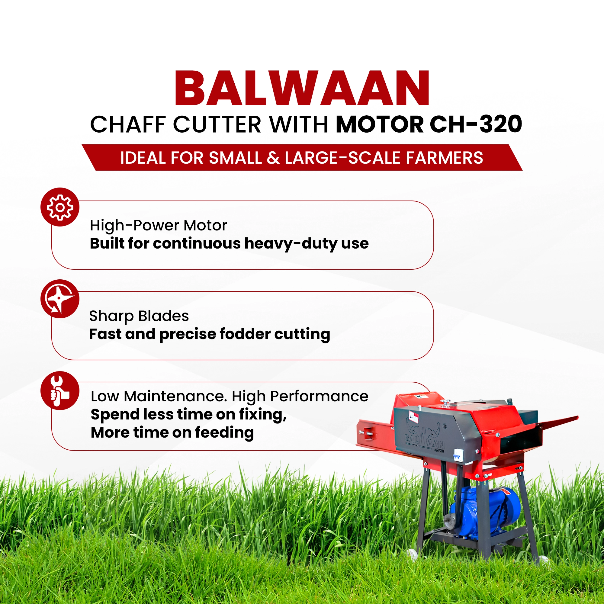 Balwaan-chaff-cutter-with-gear-motor & conveyor-belt-ch-320-5